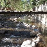 D7 - Aug 4, 2014 - River Playground (18)