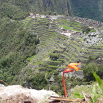A2 - Nov 3, 2014 - Machu Picchu Day 1 (30)