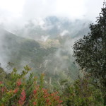 A2 - Nov 4, 2014 - Machu Picchu Day 2 (24)