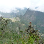 A2 - Nov 4, 2014 - Machu Picchu Day 2 (29)