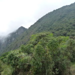 A2 - Nov 4, 2014 - Machu Picchu Day 2 (34)
