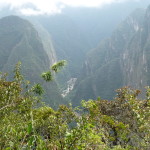 A2 - Nov 4, 2014 - Machu Picchu Day 2 (38)