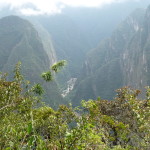 A2 - Nov 4, 2014 - Machu Picchu Day 2 (38)