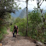 A2 - Nov 4, 2014 - Machu Picchu Day 2 (43)