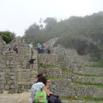 A2 - Nov 4, 2014 - Machu Picchu Day 2 (9)