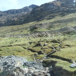 A4 - Nov 10, 2014 - Drive To Lares (23)