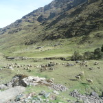 A4 - Nov 10, 2014 - Drive To Lares (27)