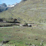 A4 - Nov 10, 2014 - Drive To Lares (28)