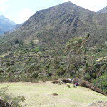 A4 - Nov 12, 2014 - Lares Day 3 (18)