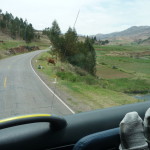 A5 - Nov 14, 2014 - On Our Way To Titicaca (9)