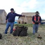 A5 - Nov 20, 2014 - Puno Uros Islands Day 5 (18)