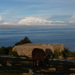 A9 - Feb 18, 2015 - Return To Titicaca Day 1 (19)