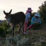 A9 - Feb 18, 2015 - Return To Titicaca Day 1 (22)