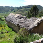 A9 - Feb 19, 2015 - Return To Titicaca Day 2 (13)