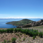 A9 - Feb 19, 2015 - Return To Titicaca Day 2 (33)