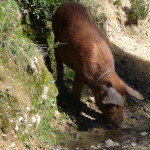 A9 - Feb 19, 2015 - Return To Titicaca Day 2 (8)