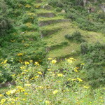 A1 - Mar 18, 2015 - Pisac Ruins (19)