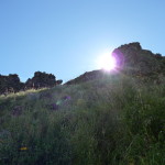 A1 - Mar 18, 2015 - Pisac Ruins (38)