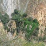 B1 - April 10-12, 2015 - Colca 3-Day Trek (136)