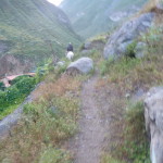 B1 - April 10-12, 2015 - Colca 3-Day Trek (190)