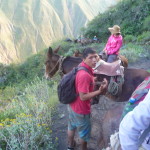 B1 - April 10-12, 2015 - Colca 3-Day Trek (195)