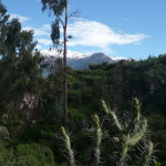 B1 - April 10-12, 2015 - Colca 3-Day Trek (207)