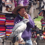 B1 - April 10-12, 2015 - Colca 3-Day Trek (217)