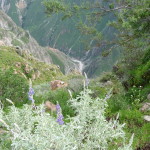 B1 - April 10-12, 2015 - Colca 3-Day Trek (31)