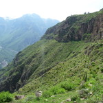 B1 - April 10-12, 2015 - Colca 3-Day Trek (33)