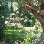 B2 - Apr 13, 2015 - Santa Catalina Monastery (15)