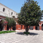 B2 - Apr 13, 2015 - Santa Catalina Monastery (31)