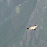 B3 - Apr 14-19, 2015 - Solo Colca Trek (12)