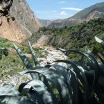 B3 - Apr 14-19, 2015 - Solo Colca Trek (29)