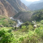 B3 - Apr 14-19, 2015 - Solo Colca Trek (39)