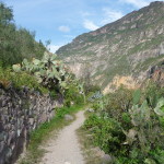 B3 - Apr 14-19, 2015 - Solo Colca Trek (40)