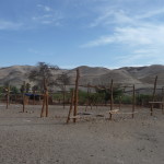 C6 - Apr 24, 2015 - Afternoon Tours (71)