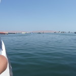 D1 - Apr 25, 2015 - Paracas Day One (11)