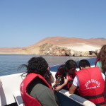 D1 - Apr 25, 2015 - Paracas Day One (17)