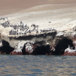 D1 - Apr 25, 2015 - Paracas Day One (18)