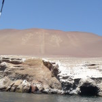 D1 - Apr 25, 2015 - Paracas Day One (23)