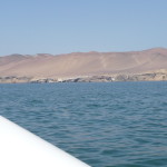 D1 - Apr 25, 2015 - Paracas Day One (54)