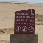 D2 - Apr 26, 2015 - Paracas Day Two (16)