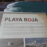 D2 - Apr 26, 2015 - Paracas Day Two (18)