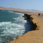 D2 - Apr 26, 2015 - Paracas Day Two (21)