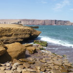 D2 - Apr 26, 2015 - Paracas Day Two (25)