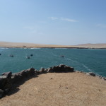 D2 - Apr 26, 2015 - Paracas Day Two (29)