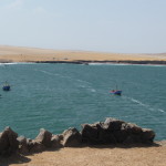 D2 - Apr 26, 2015 - Paracas Day Two (30)