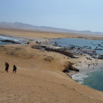 D2 - Apr 26, 2015 - Paracas Day Two (31)