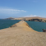 D2 - Apr 26, 2015 - Paracas Day Two (32)