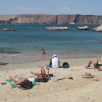 D2 - Apr 26, 2015 - Paracas Day Two (43)